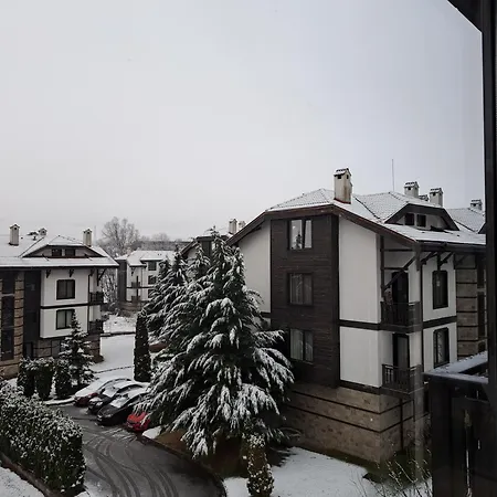 Sunny Mountain View דירה