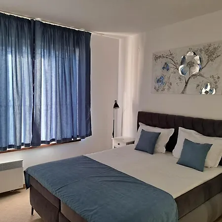 Sunny Mountain View * ラズロク