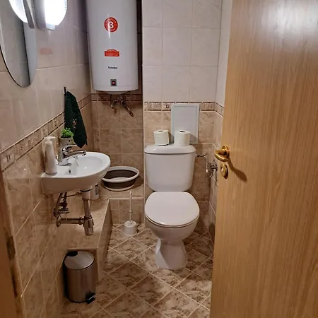 Sunny Mountain View *