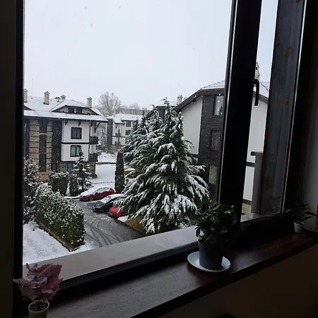 Sunny Mountain View Lejlighed