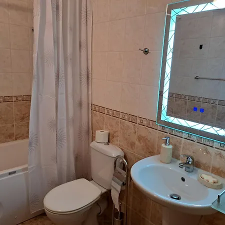 Sunny Mountain View *