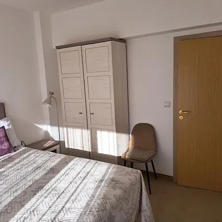 Sunny Mountain View * ラズロク