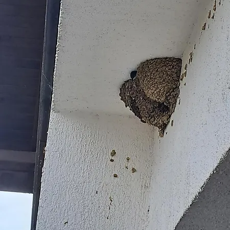 Sunny Mountain View Lejlighed Razlog