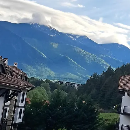 Sunny Mountain View アパート