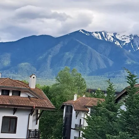 Sunny Mountain View * ラズロク