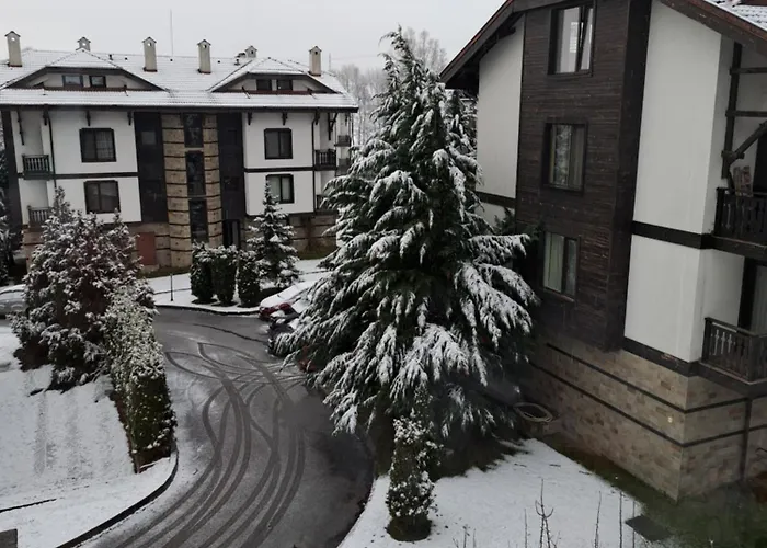 Sunny Mountain View *