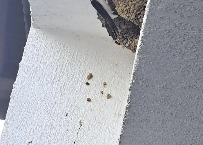 Sunny Mountain View Appartement