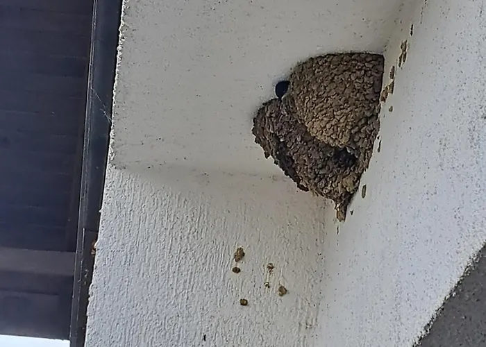 Sunny Mountain View Appartement Razlog