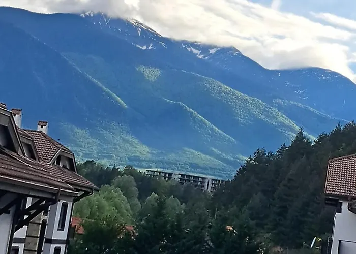 Sunny Mountain View Appartement